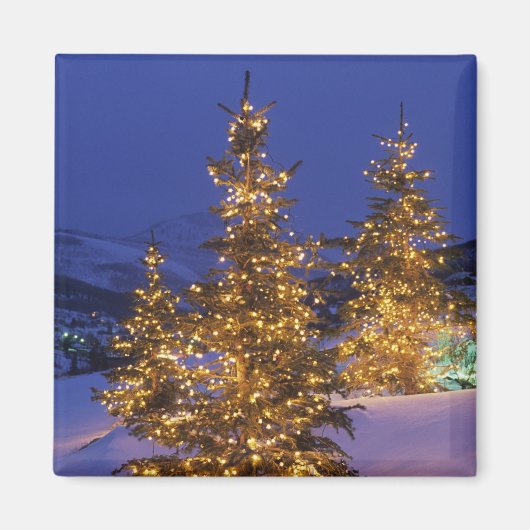 Kerstbomen, Park City, Wastch Mountains, 2 Magneet (Voorkant)