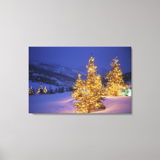 Kerstbomen, Park City, Wastch Mountains, Canvas Afdruk (Voorkant)