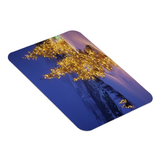 kerstbomen, Park City, Wastch Mountains, Magneet (Rechterzijde)