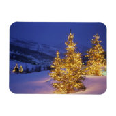 kerstbomen, Park City, Wastch Mountains, Magneet (Horizontaal)