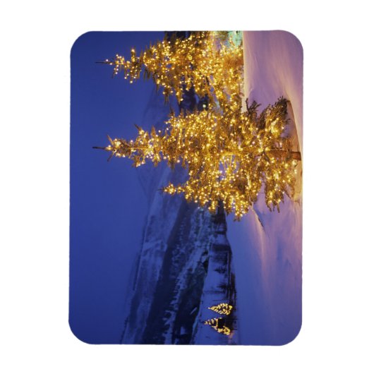 kerstbomen, Park City, Wastch Mountains, Magneet (Verticaal)