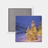 Kerstbomen, Park City, Wastch Mountains, Magneet (Voorkant / Achterkant)