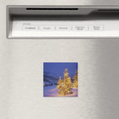 Kerstbomen, Park City, Wastch Mountains, Magneet (Insitu (Vaatwasser))