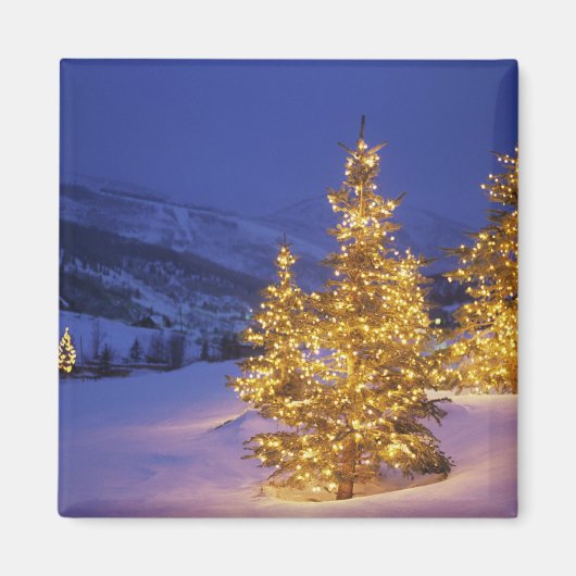 Kerstbomen, Park City, Wastch Mountains, Magneet (Voorkant)