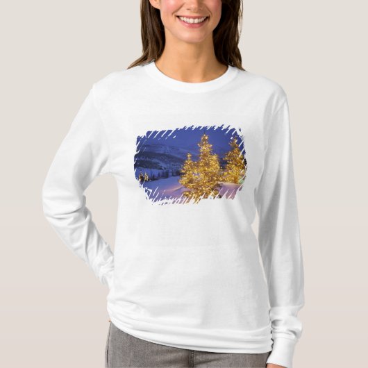 Kerstbomen, Park City, Wastch Mountains, T-shirt (Voorkant)