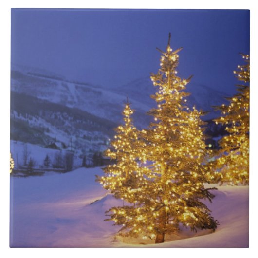 Kerstbomen, Park City, Wastch Mountains, Tegeltje (Voorkant)