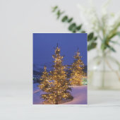 kerstbomen, Park City, Wastgebergte, 2 Feestdagenkaart (Staand voorkant)