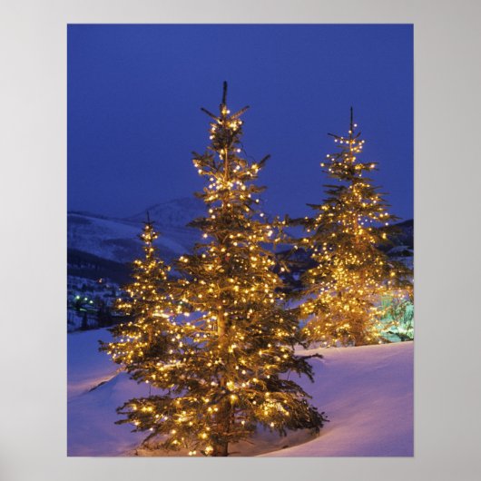 kerstbomen, Park City, Wastgebergte, 2 Poster (Voorkant)
