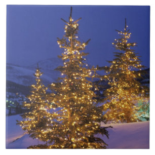 kerstbomen, Park City, Wastgebergte, 2 Tegeltje