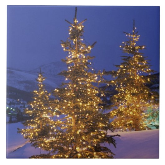 kerstbomen, Park City, Wastgebergte, 2 Tegeltje (Voorkant)