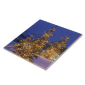 kerstbomen, Park City, Wastgebergte, 2 Tegeltje (Zijkant)