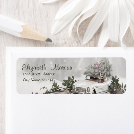 Kerstboom, auto, sneeuw etiket (Insitu)