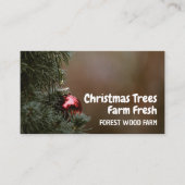 Kerstboom Bauble, kerstboomverkoop Visitekaartje (Voorkant)