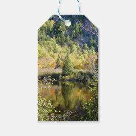Kerstboom cadeaukaart cadeaulabel