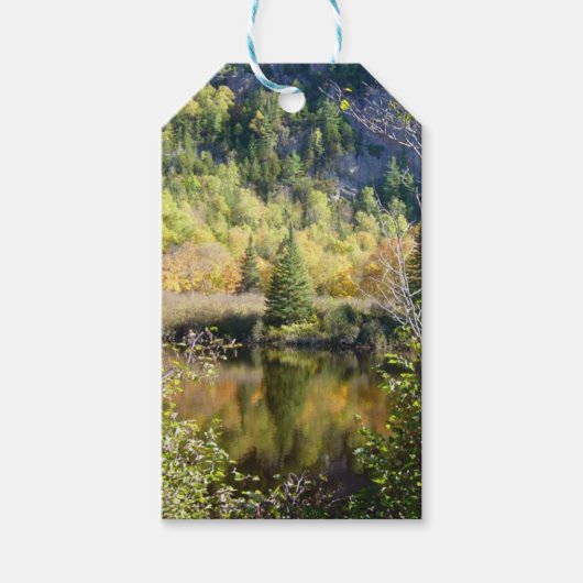 Kerstboom cadeaukaart cadeaulabel (Voorkant)