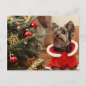 Kerstboom en Yorkie puppy Feestdagenkaart (Voorkant)