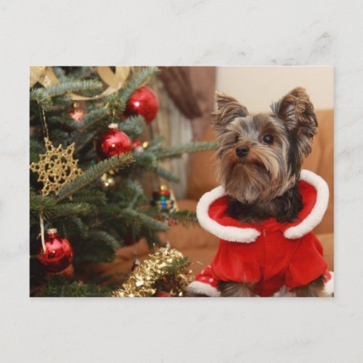 Kerstboom en Yorkie puppy Feestdagenkaart (Voorkant)