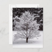 Kerstboom Feestdagenkaart (Voorkant / Achterkant)