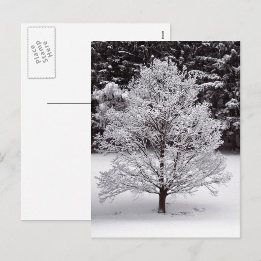 Kerstboom Feestdagenkaart (Voorkant / Achterkant)