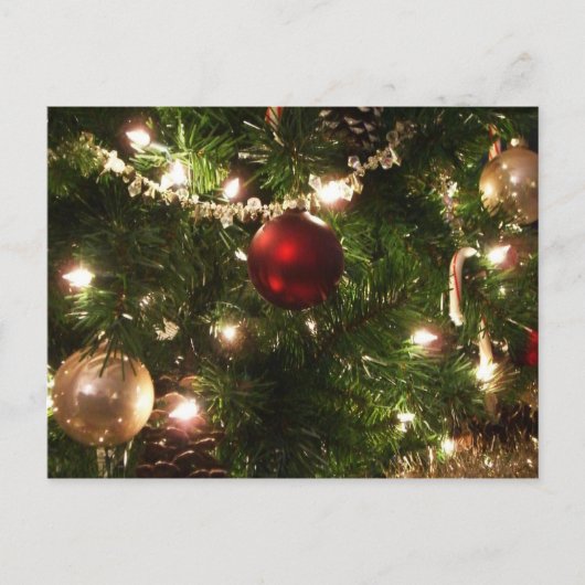 Kerstboom I Vakantie  groen en rood Feestdagenkaart (Voorkant)