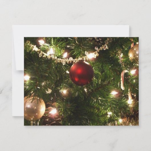 Kerstboom I Vakantie  groen en rood Kaart (Voorkant)