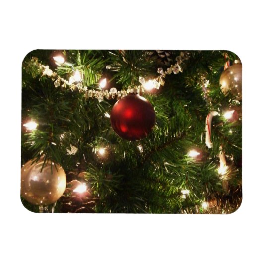 Kerstboom I Vakantie groen en rood Magneet (Horizontaal)