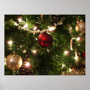 Kerstboom I Vakantie groen en rood Poster