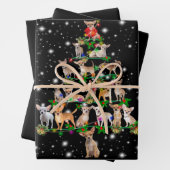 Kerstboom in Chihuahua, bedekt door vlieglicht Inpakpapier Vel (In situ)