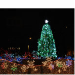 kerstboom met lichtfoto's staand fotobeeldje<br><div class="desc">De kerstboom op het Plein van de Publiek,  Cleveland,  Ohio-felle lichten en de foto-beeldhouwkunst van de boom maken het mogelijk om een boom/lichtha te hebben waar je vroeger niet kon - voor versieringen van het seizoen overal!</div>