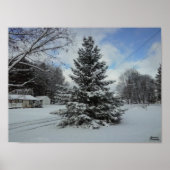 Kerstboom ongesneden poster (Voorkant)