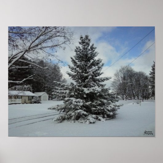 Kerstboom ongesneden poster (Voorkant)