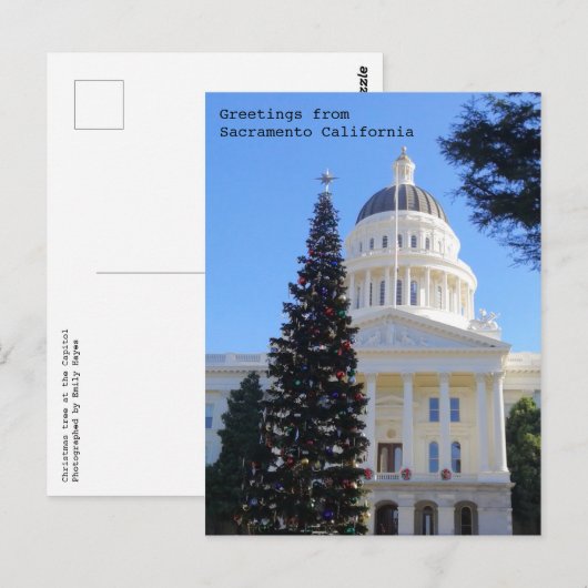 Kerstboom op het Capitol Briefkaart (Voorkant / Achterkant)