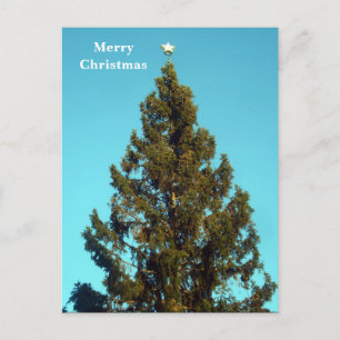 Kerstboom op Trafalgar Square Holiday Postcar Feestdagenkaart