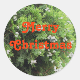 Kerstboom Ronde Sticker