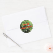 Kerstboom Ronde Sticker (Envelop)