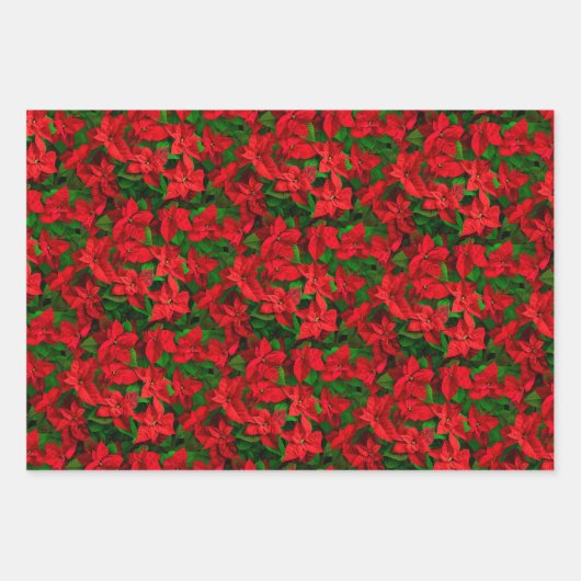 Kerstboom Rood Poinsettia Rood en groen Inpakpapier Vel (Voorkant 2)
