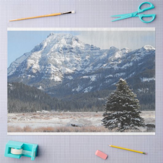 kerstboom tissuepapier (Craft)