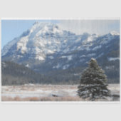 kerstboom tissuepapier (Voorkant)