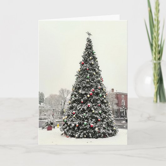 Kerstboom van Plymouth MA Kaart (Voorkant)