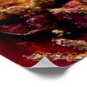 Kerstboom Worm Spirobranchus Giganteus Poster (Hoek)