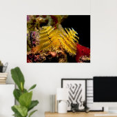 Kerstboom Worm Spirobranchus Giganteus Poster (Thuiskantoor)