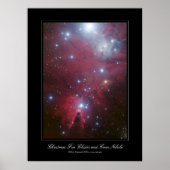 Kerstboomcluster en kone nevel poster (Voorkant)