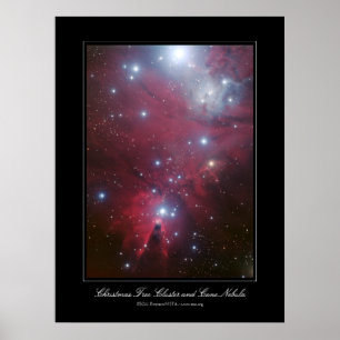 Kerstboomcluster en kone nevel poster
