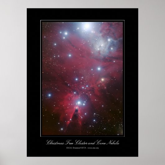 Kerstboomcluster en kone nevel poster (Voorkant)