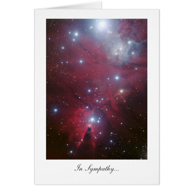 Kerstboomcluster - in sympathie (Voorkant)