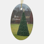 kerstboomfoto's Ornament (Links)