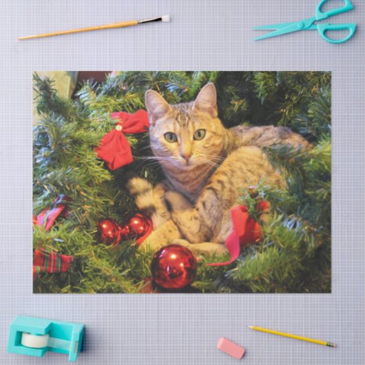 kerstboomkat tissuepapier (Craft)