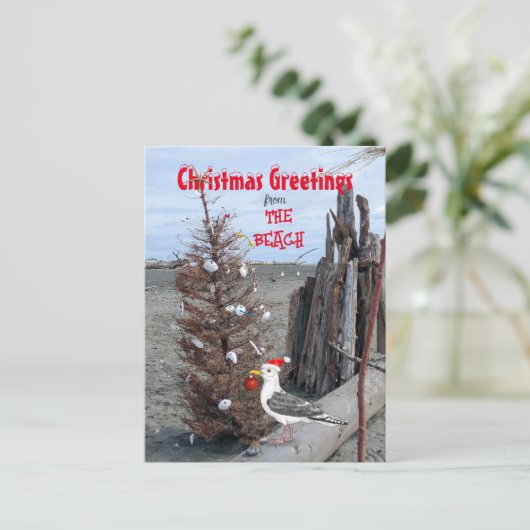 kerstboomklep Foto van Seagull Driftwood Feestdagenkaart (Staand voorkant)