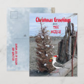 kerstboomklep Foto van Seagull Driftwood Feestdagenkaart (Voorkant / Achterkant)