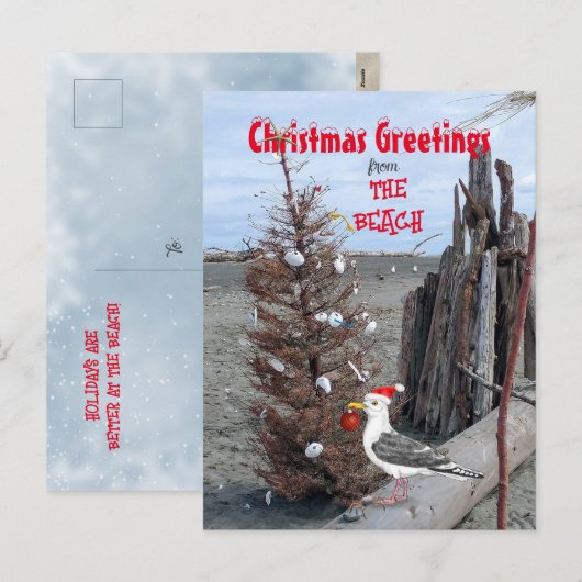kerstboomklep Foto van Seagull Driftwood Feestdagenkaart (Voorkant / Achterkant)